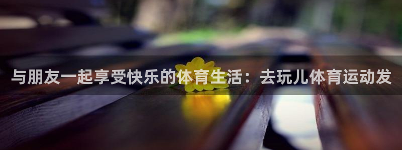 与朋友一起享受快乐的体育生活：去玩儿体育运动发