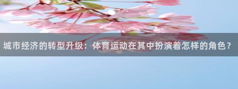 城市经济的转型升级：体育运动在其中扮演着怎样的角色？