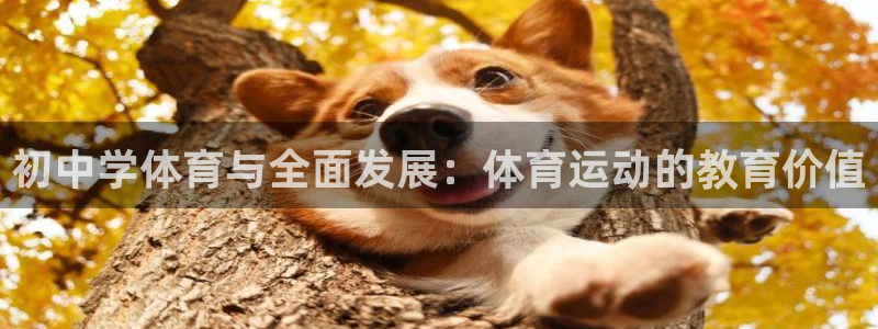 初中学体育与全面发展：体育运动的教育价值