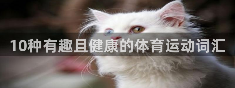 10种有趣且健康的体育运动词汇