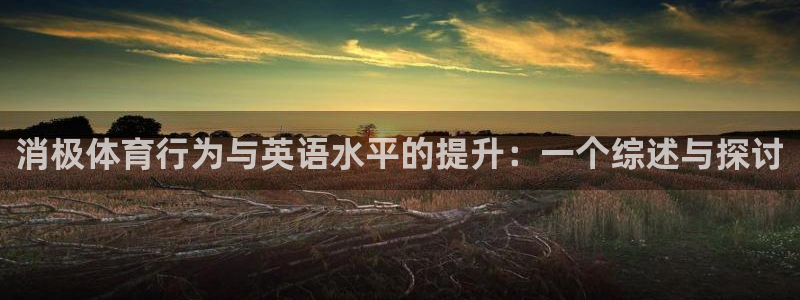 消极体育行为与英语水平的提升：一个综述与探讨