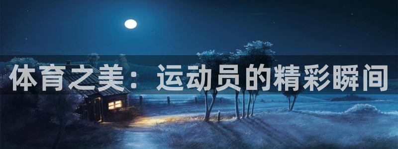 体育之美：运动员的精彩瞬间