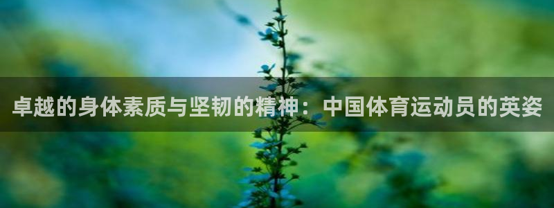 卓越的身体素质与坚韧的精神：中国体育运动员的英姿