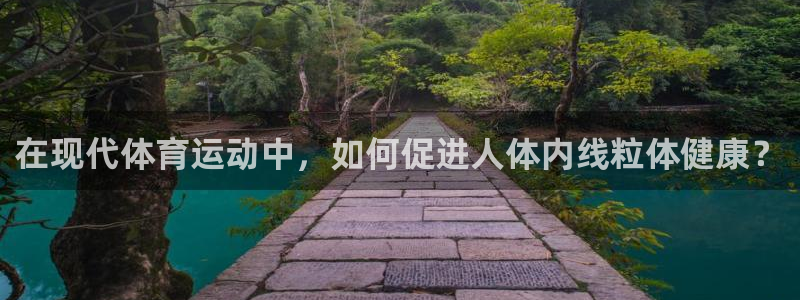 在现代体育运动中，如何促进人体内线粒体健康？