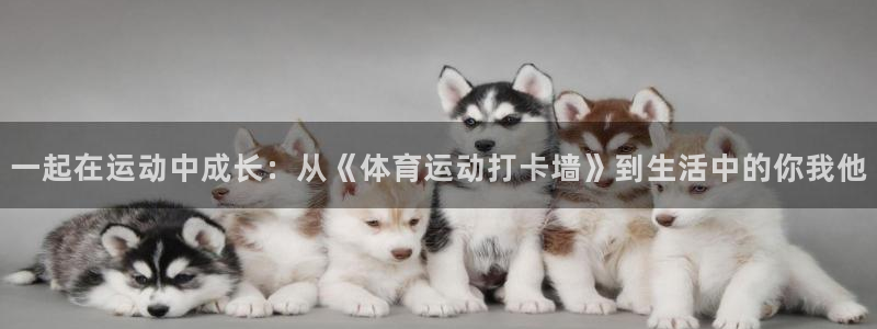 一起在运动中成长：从《体育运动打卡墙》到生活中的你我他