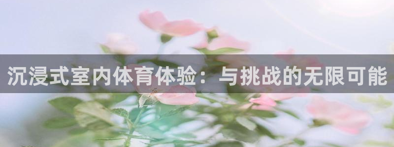 沉浸式室内体育体验：与挑战的无限可能