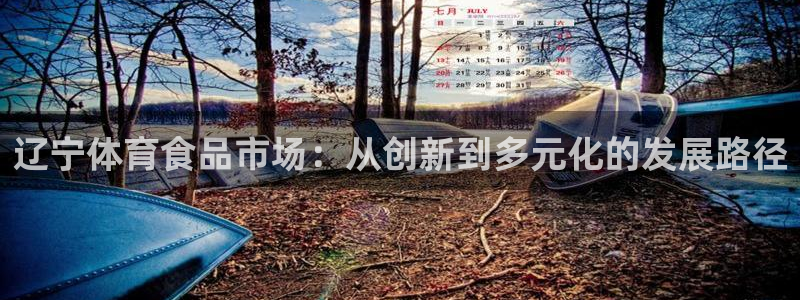 辽宁体育食品市场：从创新到多元化的发展路径